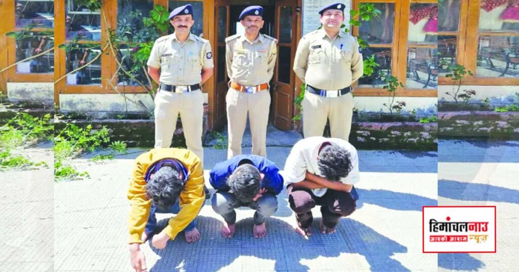 शोघी में चिट्टा बरामदगी मामले में पुलिस कार्रवाई