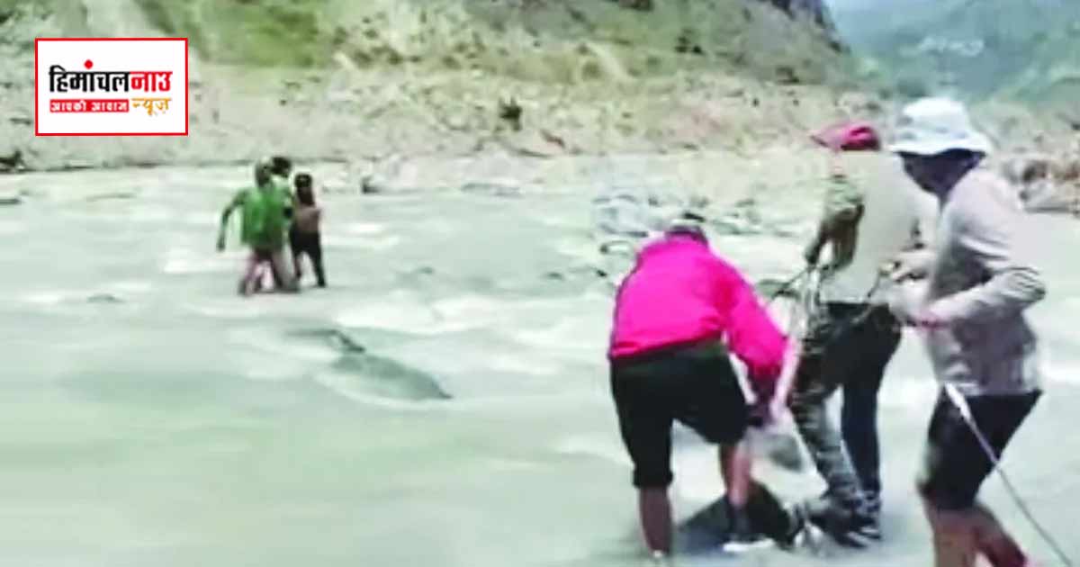 चंद्रा नदी के बहाव में फंसा पर्यटक, सिस्सू में स्थानीय लोगों की मदद से सुरक्षित निकाला गया