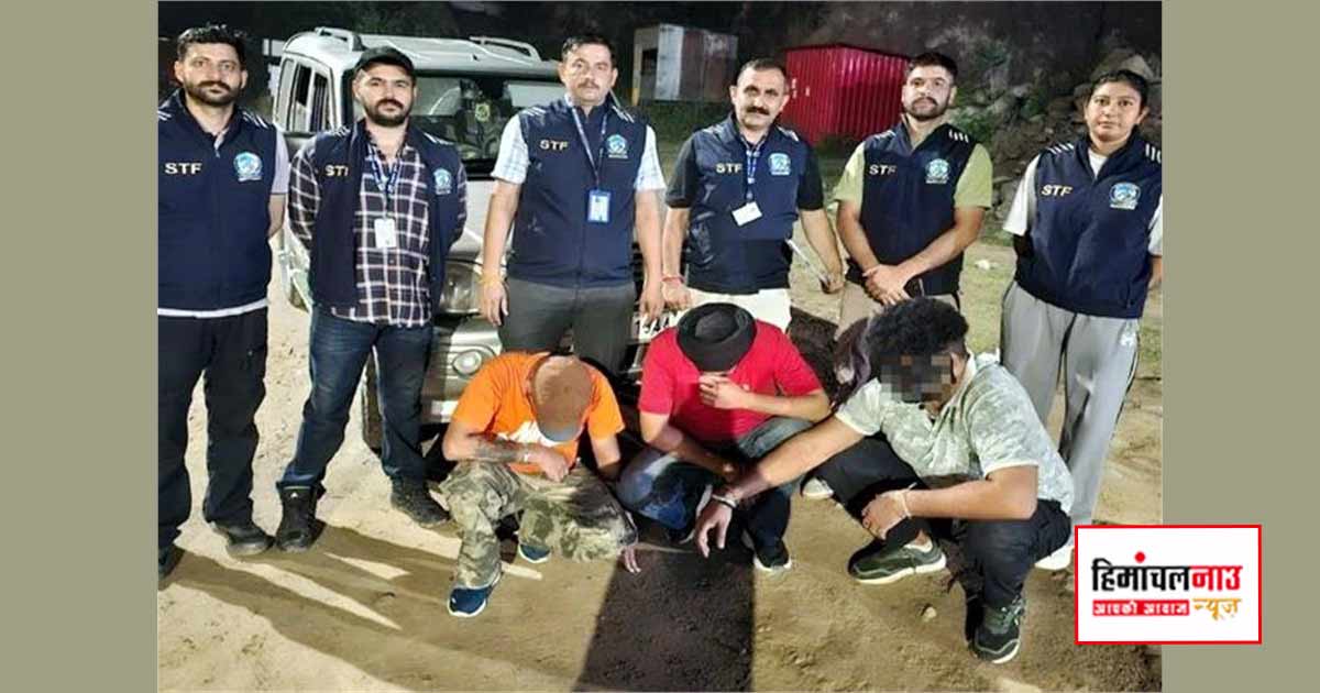 NDPS / बिलासपुर फोरलेन पर एसटीएफ ने 101 ग्राम चिट्टा बरामद किया, पंजाब के 3 आरोपी गिरफ्तार