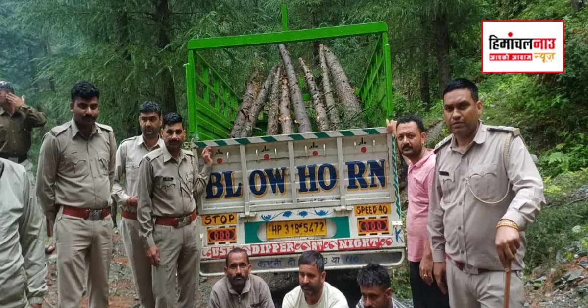 Crime / सुकेत वन मंडल में अवैध देवदार कटान और लकड़ी तस्करी मामले में तीन आरोपी गिरफ्तार