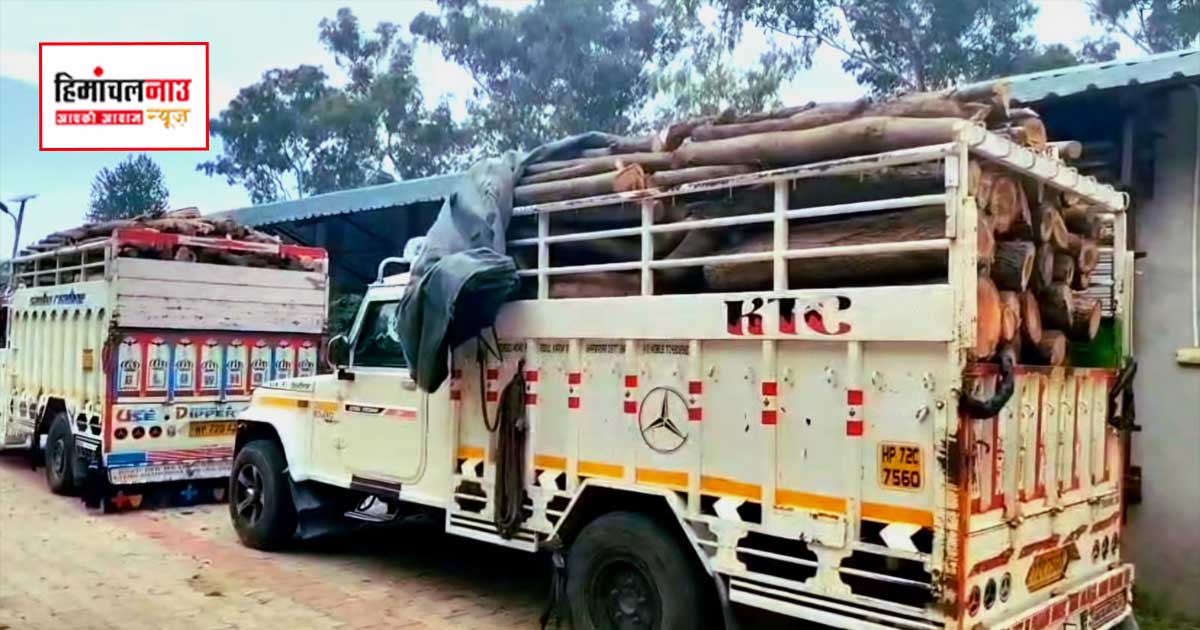 तरपाल के नीचे छिपा था ‘हरा सोना’, वन विभाग ने दबोचे लकड़ी से लदे दो वाहन