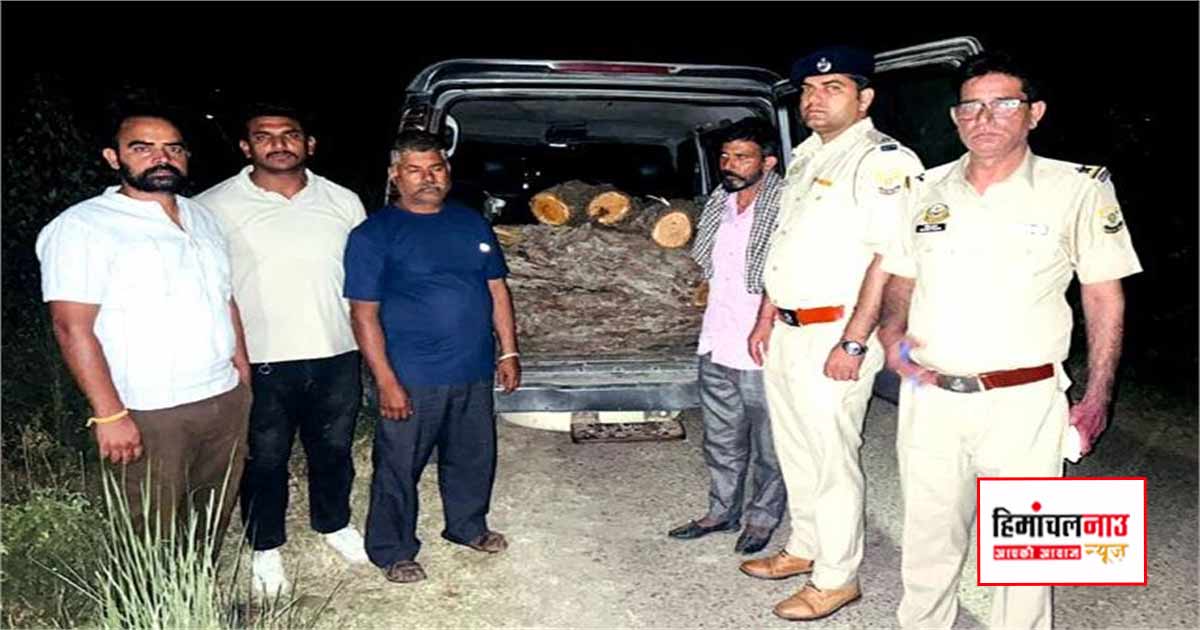 Crime / गगरेट क्षेत्र में खैर की लकड़ी सहित वाहन जब्त, दो व्यक्तियों पर कार्रवाई
