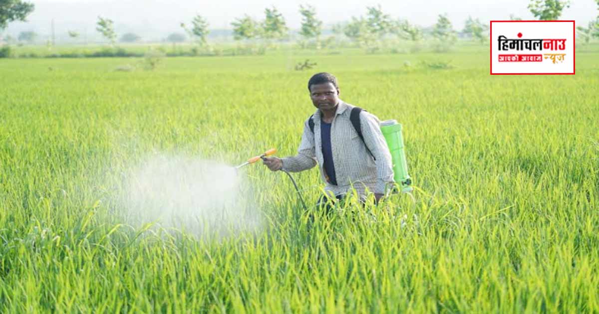 Agriculture / एग्रीस्टैक से डिजिटल हो रही खेती, ऊना के 41 हजार से अधिक किसान डिजिटल रजिस्ट्री से जुड़े 