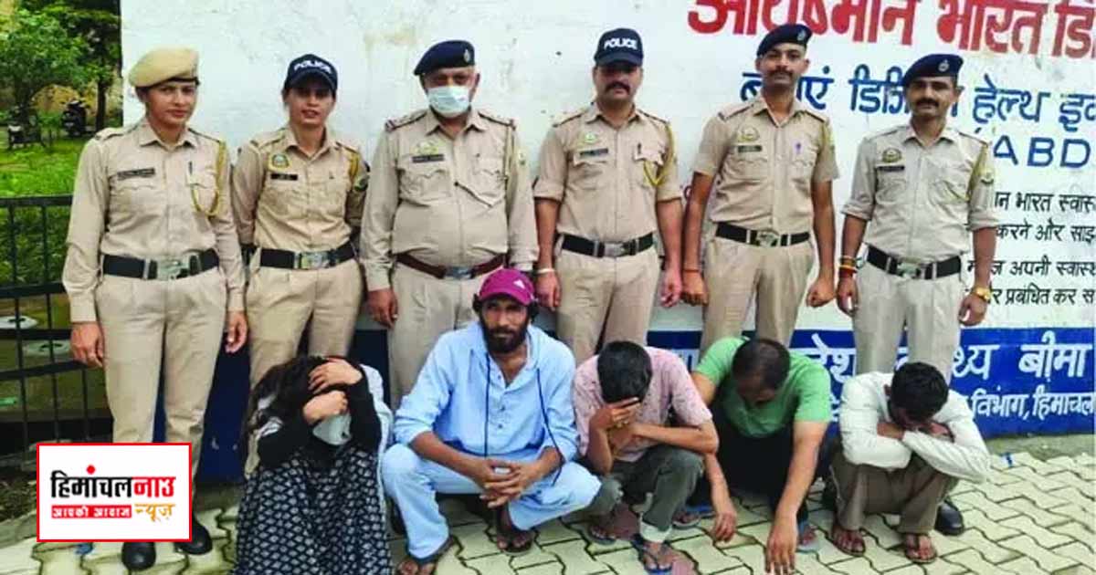 NDPS / बिलासपुर में रिहायशी मकान से 11.2 ग्राम चिट्टा बरामद, महिला सहित पांच आरोपी गिरफ्तार