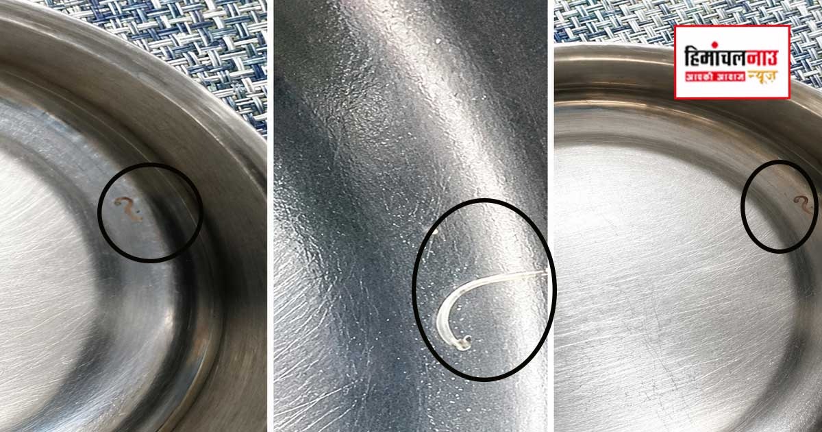 उप तहसील जोल के चौकीमन्यार में पेयजल आपूर्ति में निकले जीवित कीड़े, जल शक्ति विभाग की बड़ी लापरवाही उजागर