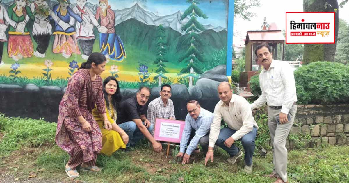 धर्मशाला डायट में पौधारोपण अभियान आयोजित, डीएलएड प्रशिक्षुओं और अध्यापकों ने पर्यावरण संरक्षण का लिया संकल्प