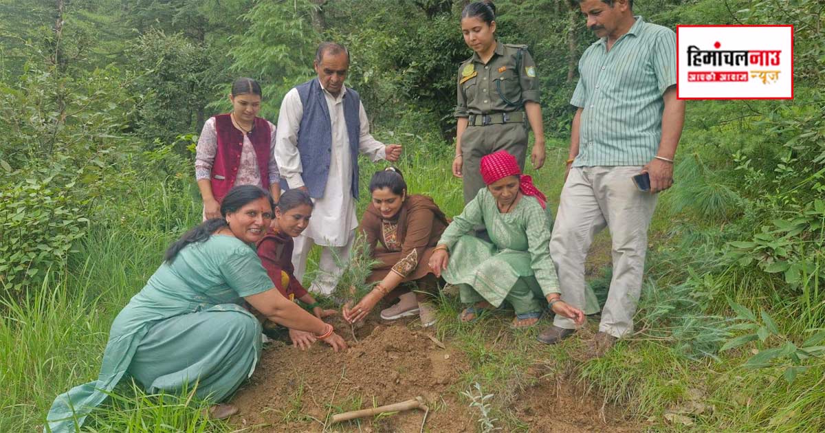 एक पेड़ मां के नाम / नेरी कोटली में पौधारोपण अभियान के तहत विधायक रीना कश्यप ने दिया पर्यावरण संरक्षण का संदेश