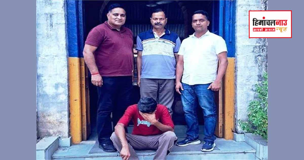 मंडी पुलिस की PO Cell ने पंजाब से उद्घोषित अपराधी को पकड़ा, चार मामलों में था वांटेड