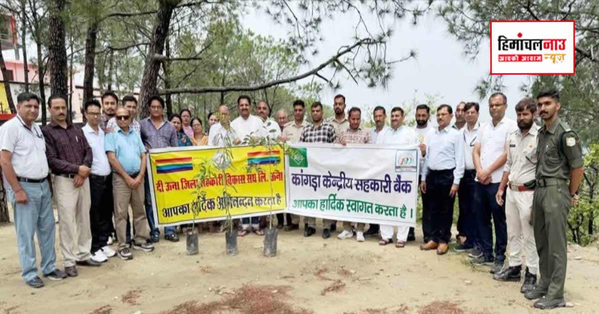 अंतरराष्ट्रीय सहकारी सप्ताह के उपलक्ष्य में तलमेहड़ा के सदाशिव धयूंसर महादेव मंदिर में हुआ पौधारोपण