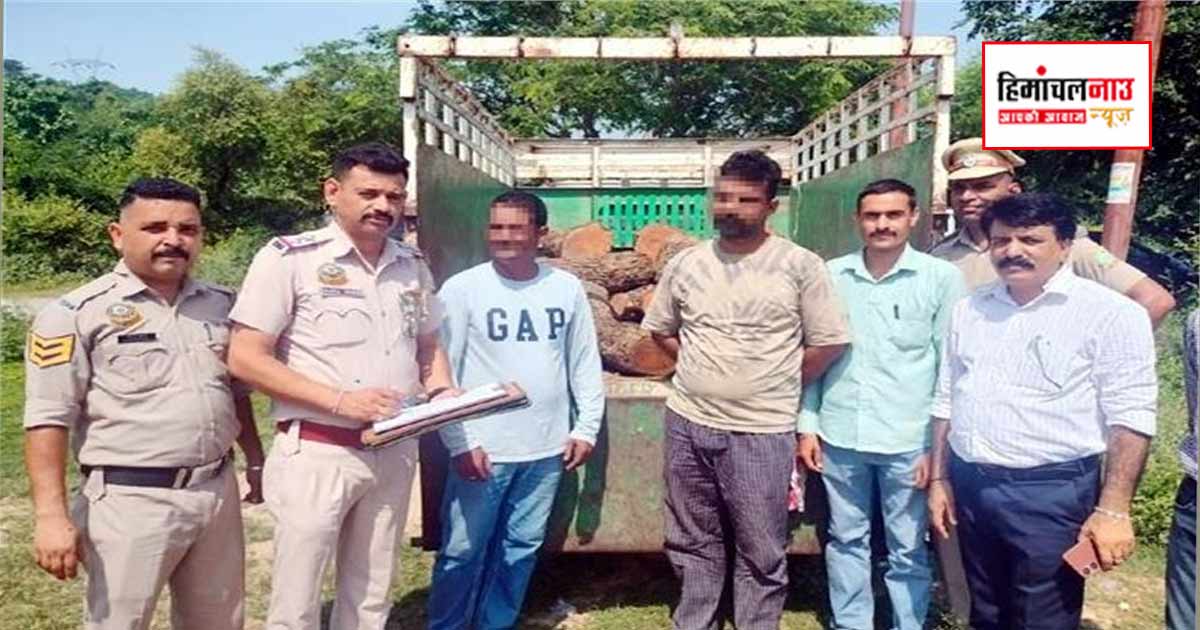 Crime / कांगड़ा के इंदौरा में 28 खैर मौछों से लदी पिकअप जब्त, वन विभाग ने दो आरोपियों को पकड़ा