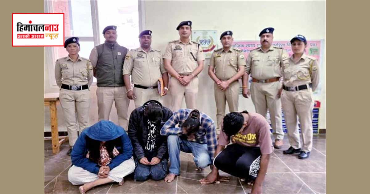 NDPS / मनाली में किराए के कमरे से 26.200 ग्राम चिट्टा बरामद, अमृतसर के चार आरोपी गिरफ्तार