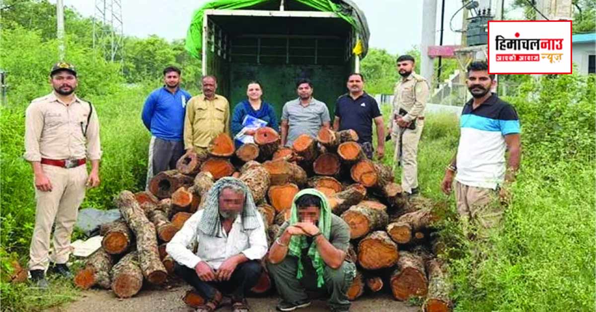 Crime / नालागढ़ में वन विभाग ने अवैध खैर की लकड़ी से लदा वाहन पकड़ा, दो आरोपी गिरफ्तार, दो वाहन जब्त