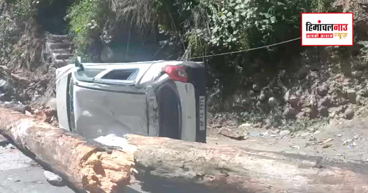 हादसा / नेरवा में चलती कार पर गिरा सूखा चीड़ का पेड़, एक व्यक्ति घायल, दो वाहन क्षतिग्रस्त