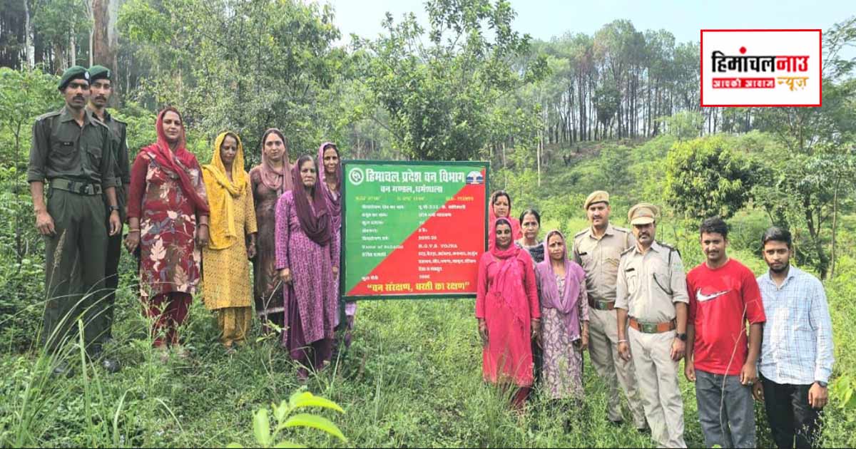 राजीव गांधी वन संवर्धन योजना से वन विस्तार और ग्रामीण रोजगार को बढ़ावा, 2030 तक 30 प्रतिशत वन आवरण का लक्ष्य