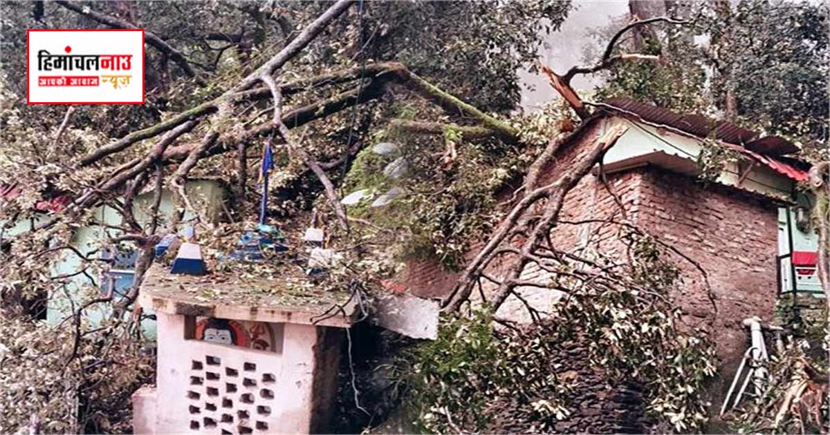 Landslide / शिमला में भारी बारिश के बीच भवन पर गिरे चार पेड़, कई क्षेत्रों में भूस्खलन से बढ़ा जोखिम