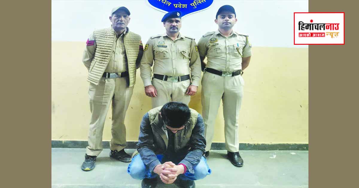 NDPS / शिमला में एनडीपीएस मामले का आरोपी अदालत के आदेश के बाद गिरफ्तार, दो मामलों में नाम आने पर कार्रवाई