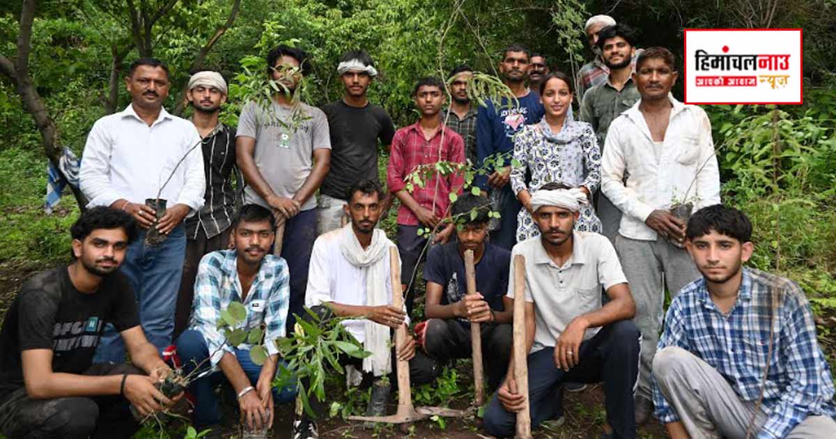 सिरमौर में वन संरक्षण योजनाओं के तहत 1.99 लाख से अधिक पौधों का रोपण और वितरण, जनभागीदारी पर जोर