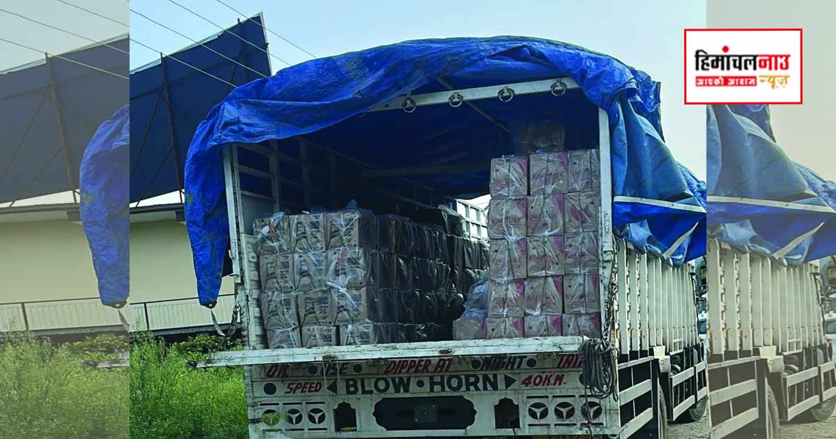 Crime / मंडी में एसटीएफ की कार्रवाई, बिना दस्तावेज 519 पेटी बीयर के साथ ट्रक जब्त