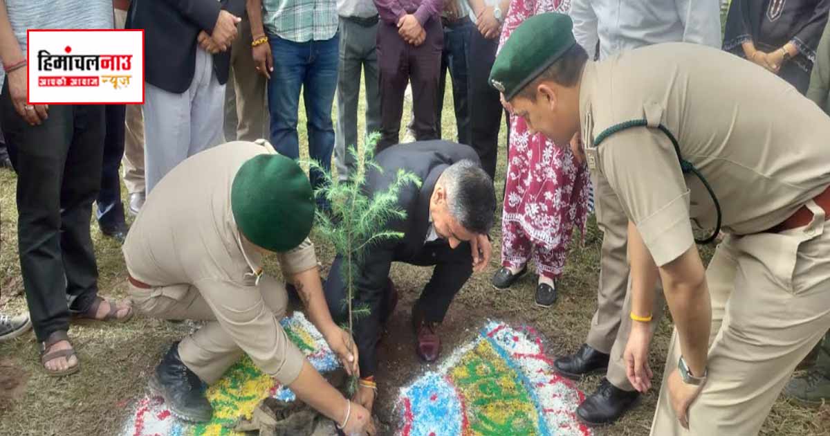 सोलन के गलानग गांव में 70 पौधों का रोपण, पारिस्थितिकी संतुलन और पर्यावरण संरक्षण पर दिया गया जोर