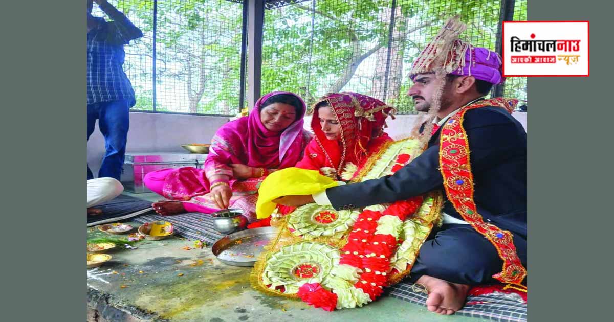 कांगड़ा में परिवार ने विधवा बहू का कराया पुनर्विवाह, सास-ससुर ने निभाई अभिभावक की जिम्मेदारी