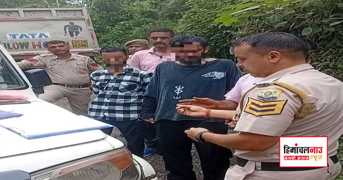 Accident / माजरा में वेरका ट्रक की टक्कर से पैदल जा रहे व्यक्ति की मौत, चालक गिरफ्तार