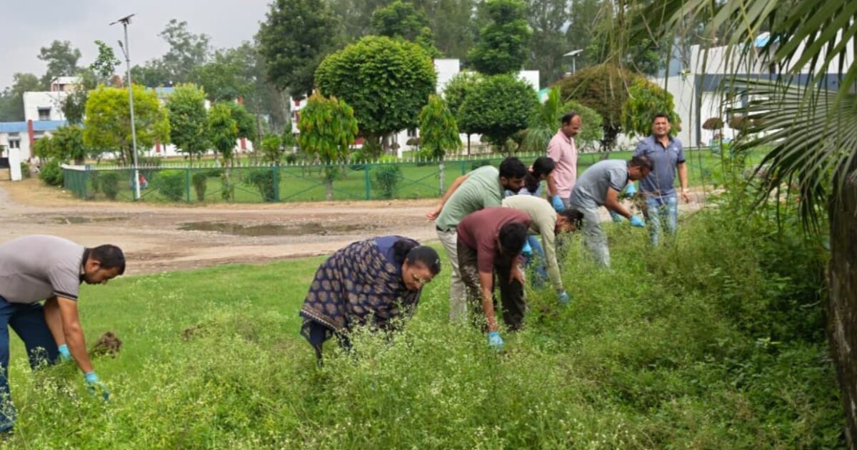 धौलाकुआं में वैज्ञानिकों ने उखाड़ी गाजर घास, किसानों को बताए नियंत्रण के तरीके