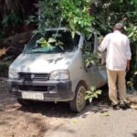 रंगस में वैन पर गिरा बरगद का बड़ा हिस्सा
