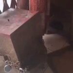 सुजानपुर के शिव मंदिर में टूटा दानपात्र