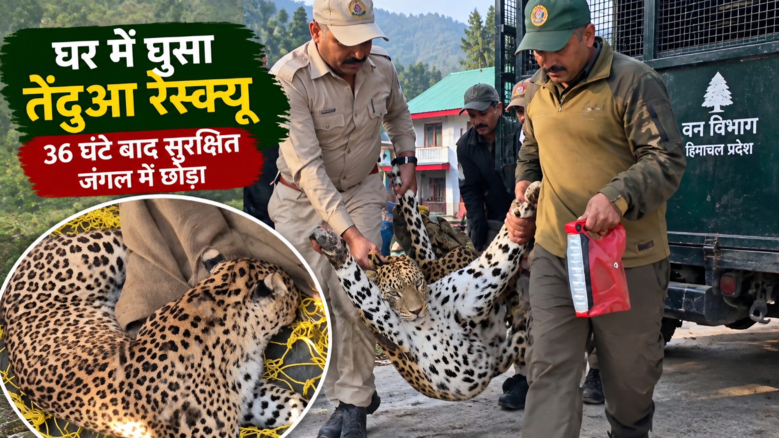 चूईनाधार में घर में घुसा खूंखार तेंदुआ रेस्क्यू, 36 घंटे चला ऑपरेशन