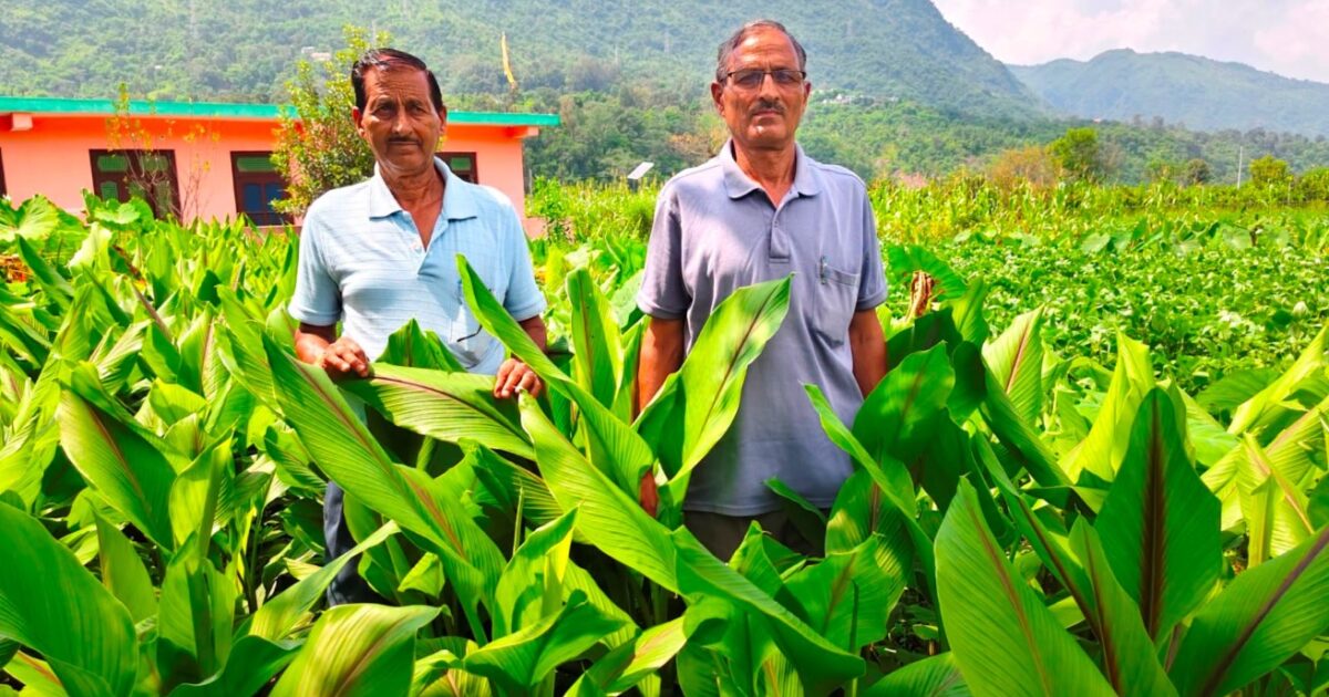 प्राकृतिक खेती ने बढ़ाई बिलासपुर के किसान परिवार की आय, एमएसपी से मिला बेहतर दाम