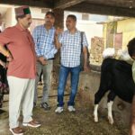 शाहपुर में लम्पी वायरस से बचाव के लिए पशुओं का टीकाकरण
