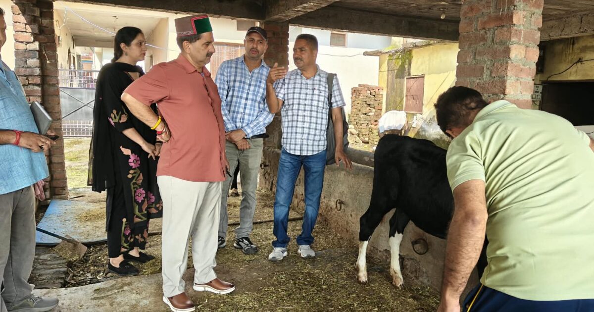 Himachal Government: शाहपुर में 8,175 पशुओं का टीकाकरण, संदिग्ध गाय में नहीं मिला लम्पी वायरस