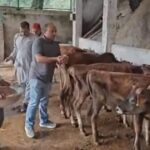 दमोहड़ गोशाला का निरीक्षण करते अरुण पटियाल
