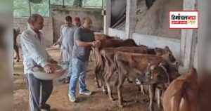दमोहड़ गोशाला का निरीक्षण करते अरुण पटियाल