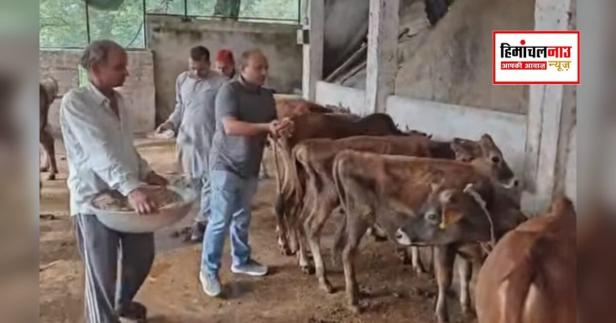 गो सेवा आयोग सदस्य अरुण पटियाल ने दमोहड़ गोशाला का किया निरीक्षण