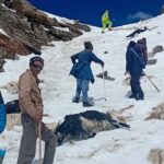 रुपिन पास में चरवाहों और भेड़-बकरियों का बचाव अभियान
