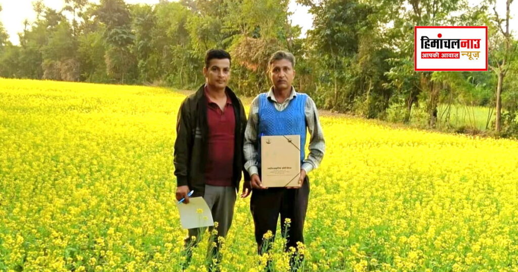सिरमौर के किसानों के लिए अक्तूबर की कृषि सलाह