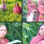 बैजनाथ में हल्दी की खेती करते किसान